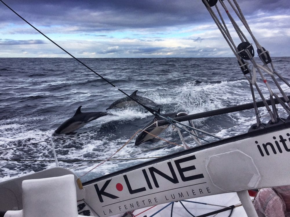 voile, transat, ambiances, large, offshore, race, course, photographes skippers, Jacques Vabre